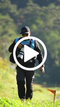 BIB:  <button type="button" onclick="openModal(26572012)" class="btn btn-primary btn-sm float-right" data-toggle="modal" data-target=".modal-high-quality">
                <i class="fa fa-download"></i> Download
                </button>